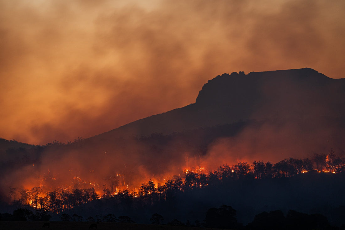 IPCC-Klimabericht: Die Folgen des Klimawandels in Europa