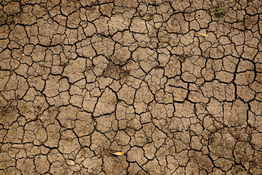 Die Klimakatastrophe verhindern: Was wir tun können