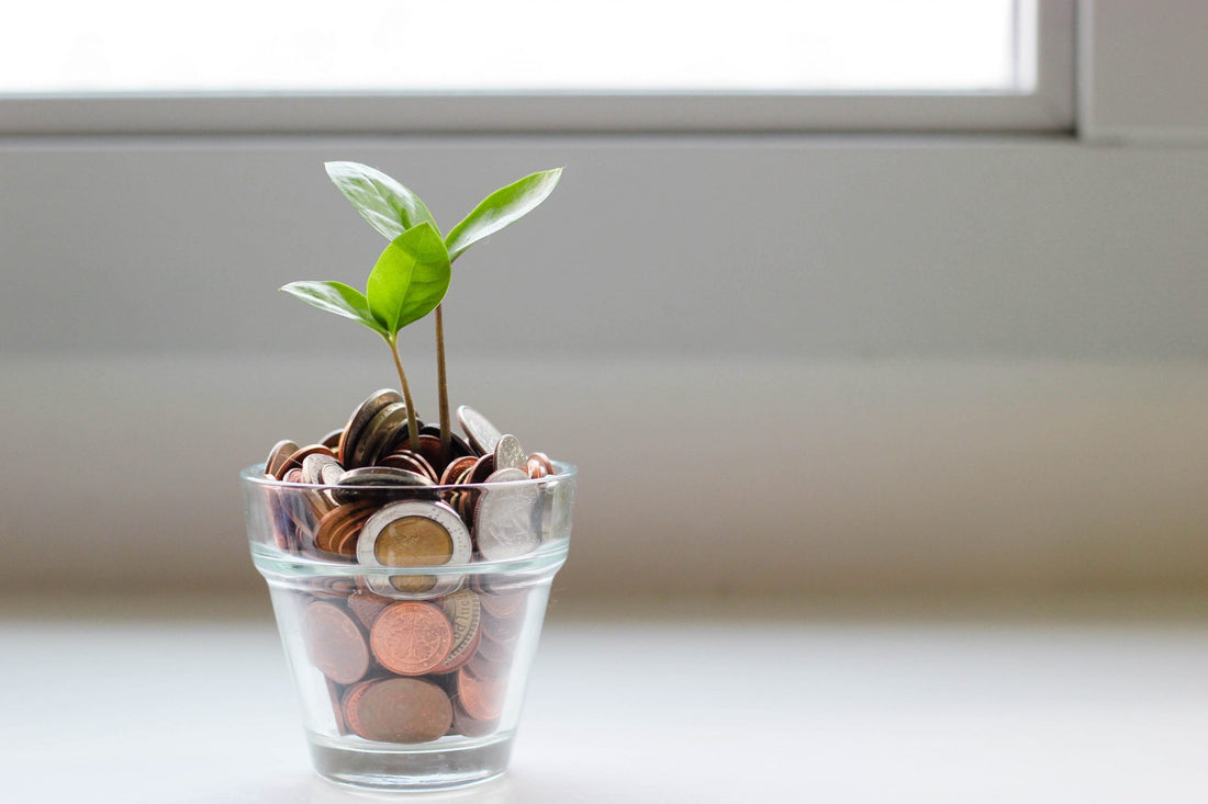 Nachhaltig leben und Geld sparen: Ist das möglich?