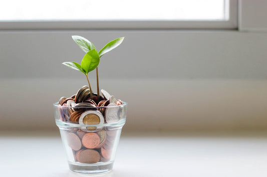 Nachhaltig leben und Geld sparen: Ist das möglich?