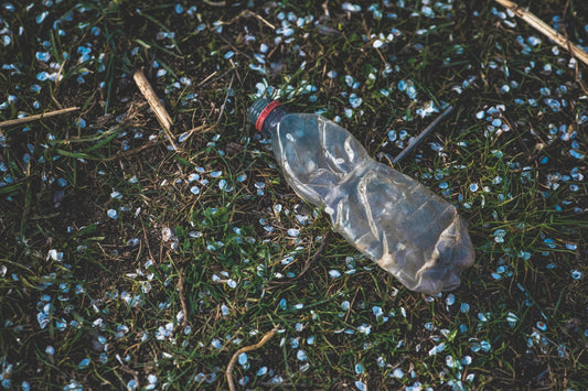 Plastic Free July: Wie du mitmachen kannst