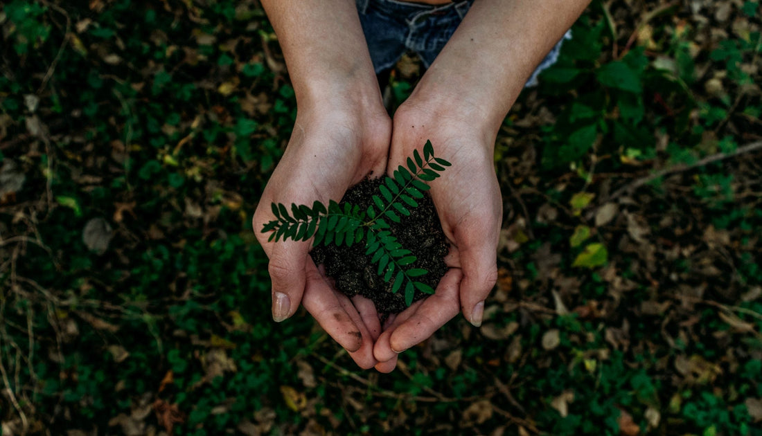 4  Zero Waste Tipps, die nicht viel kosten