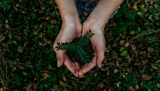 4  Zero Waste Tipps, die nicht viel kosten