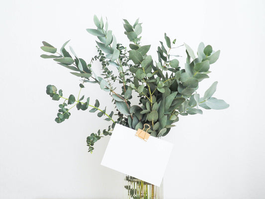 9 grandiose nachhaltige Geschenke