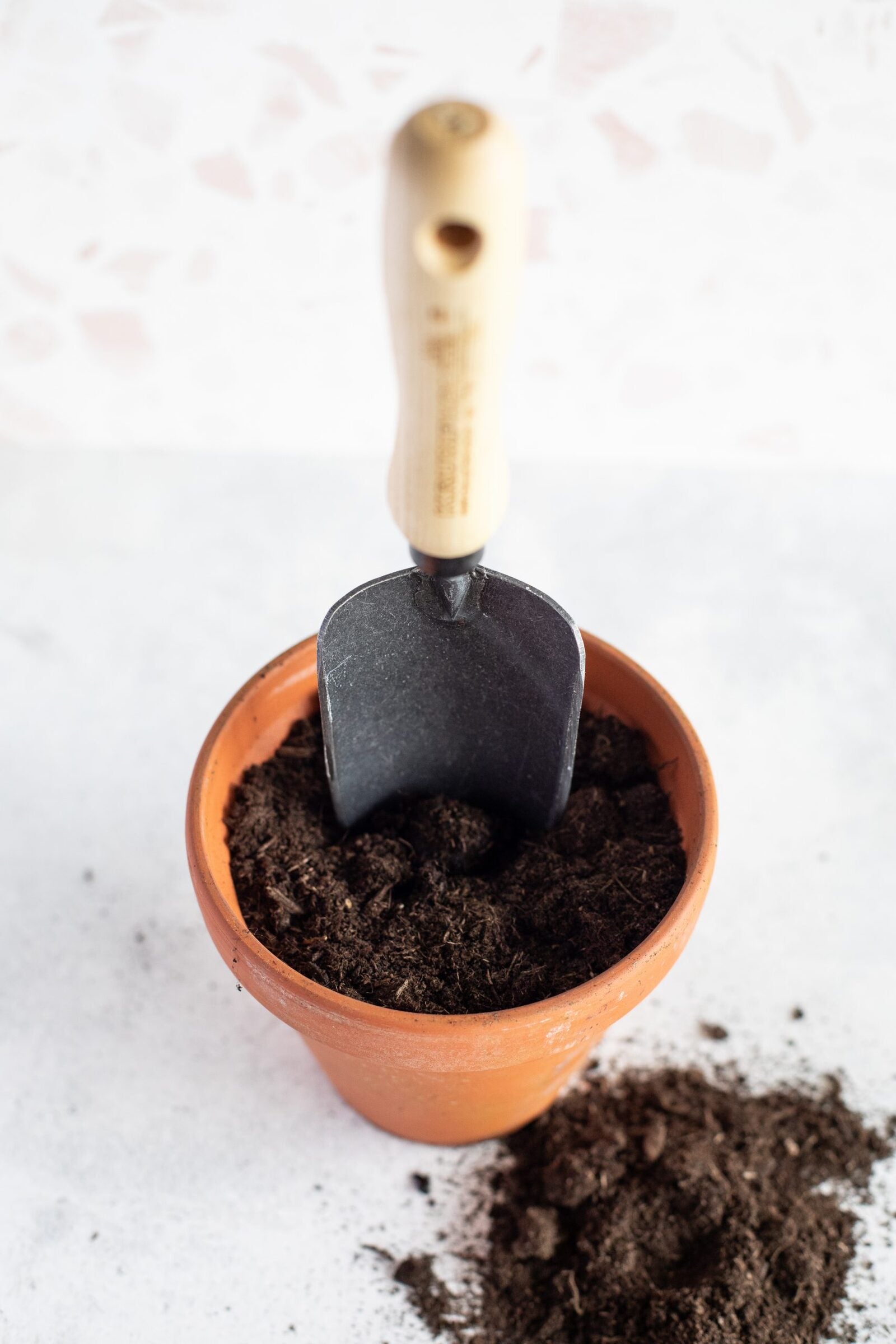 littlebeefresh_Garten_hf_story-13