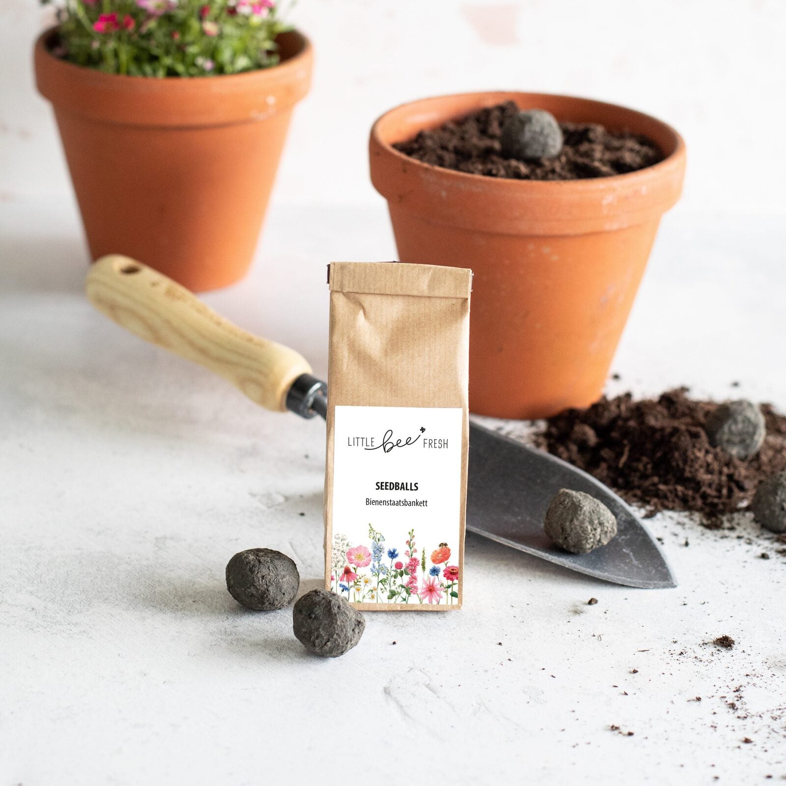 littlebeefresh_Garten_q-1