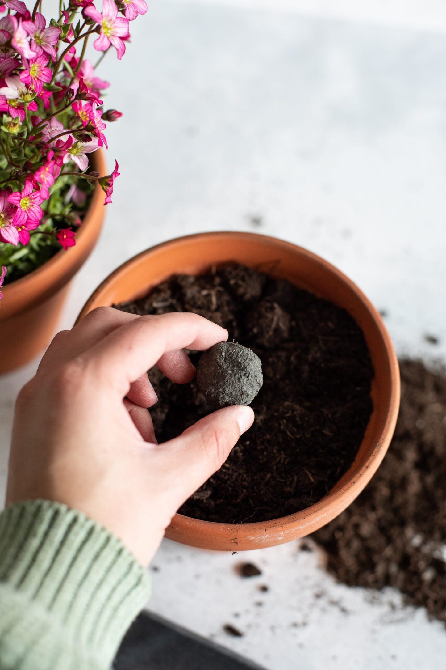 littlebeefresh_Garten_hf_story-15