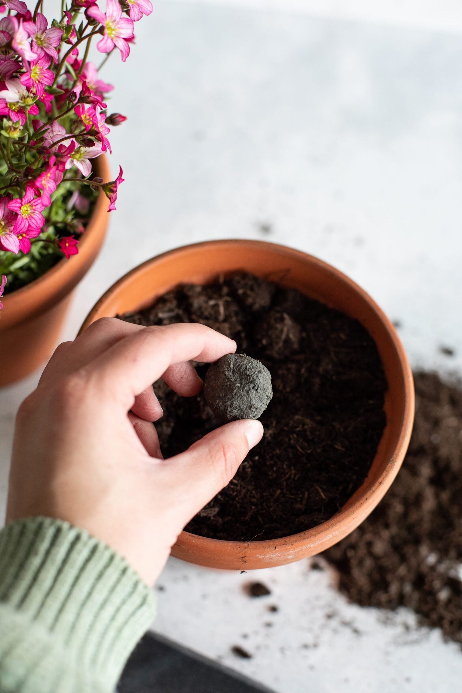 littlebeefresh_Garten_hf_story-15