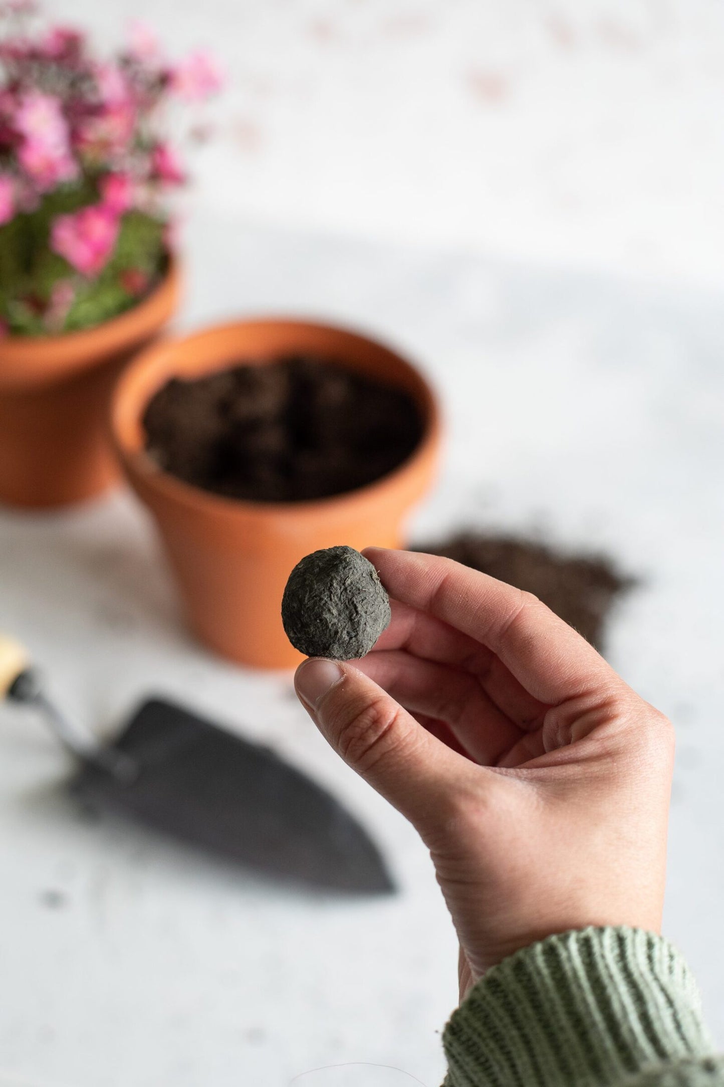 littlebeefresh_Garten_hf_story-16