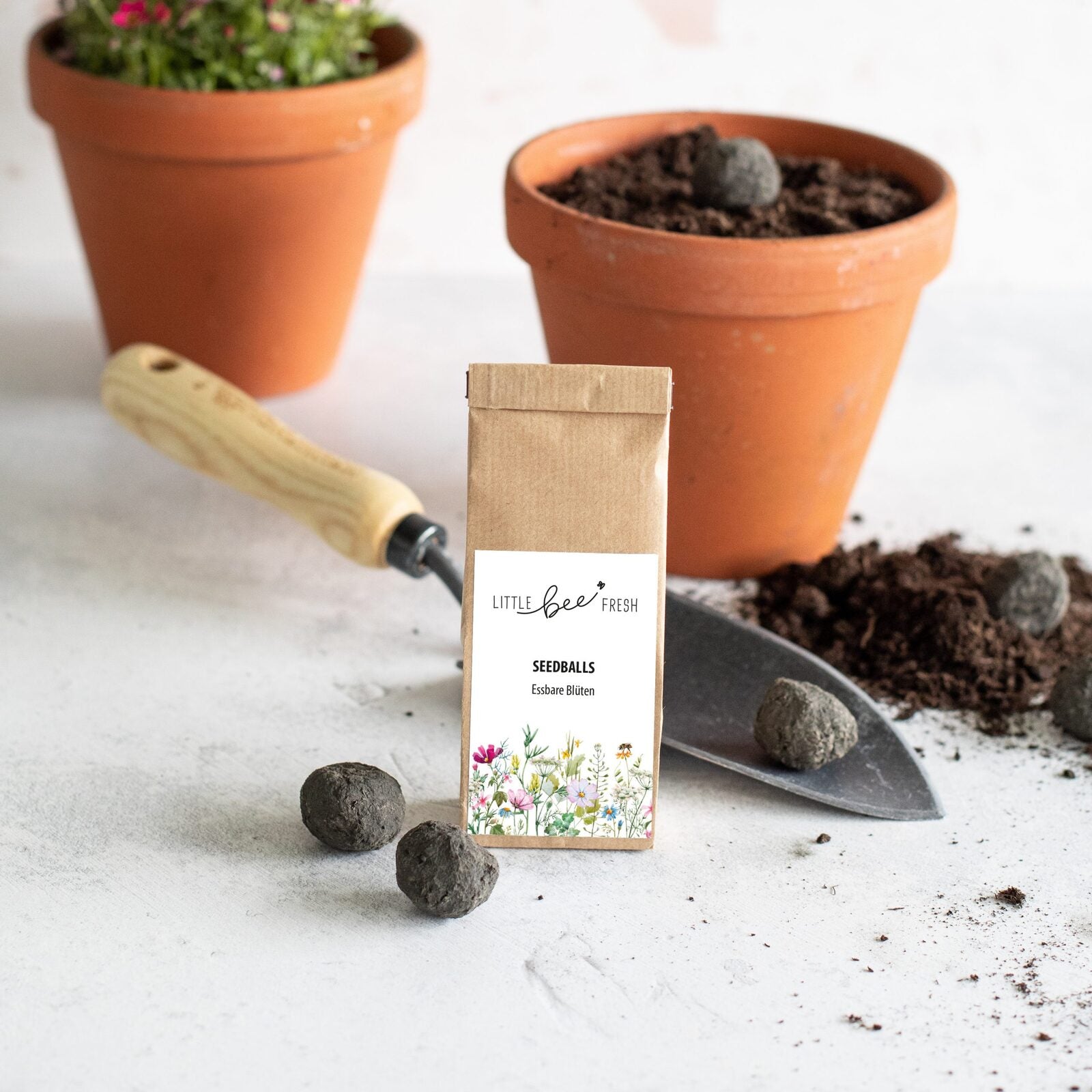 littlebeefresh_Garten_q-3