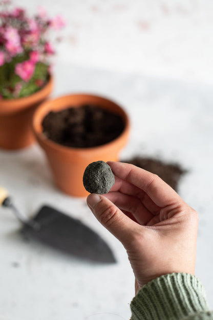 littlebeefresh_Garten_hf_story-16