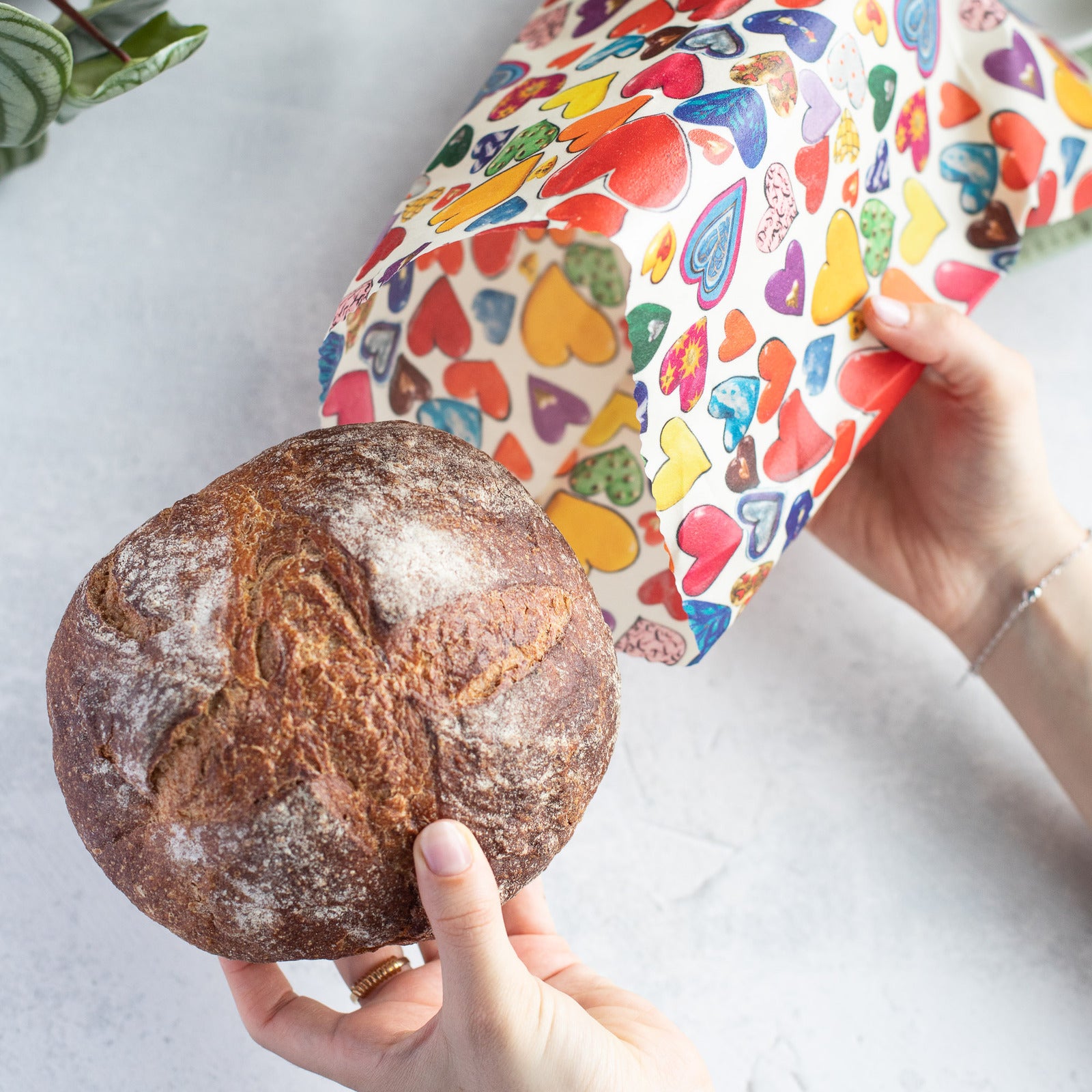 LittleBeeFresh_Bienenwachstuecher_Stefanie Steinmayer_web_Q-5