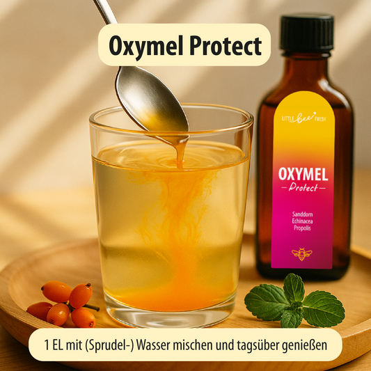 Oxymel Protect – für dein Immunsystem | mit Sanddorn, Echinacea & Propolis