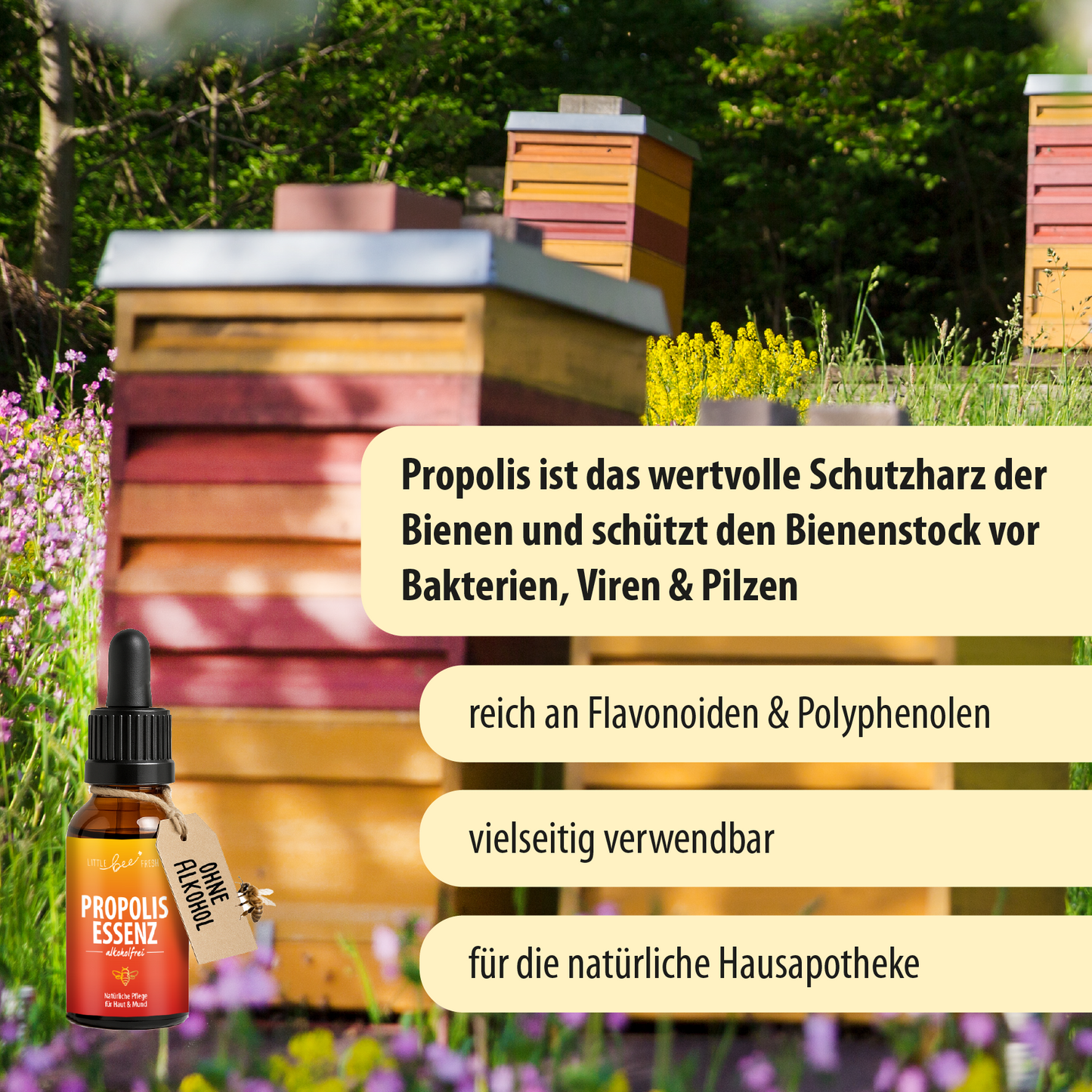 Propolis Essenz - alkoholfrei | natürliche Pflege aus dem Bienenstock