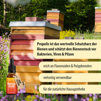 Propolis Essenz - alkoholfrei | natürliche Pflege aus dem Bienenstock